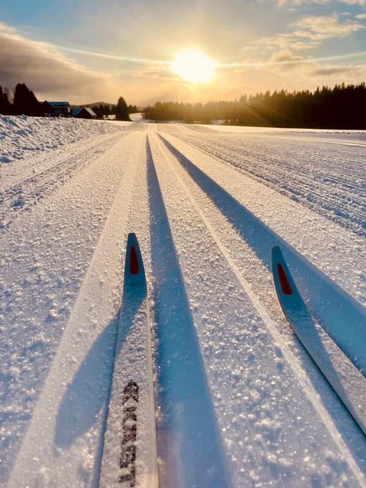 Chata Zulova Stran Janov nad Nisou Exteriör bild
