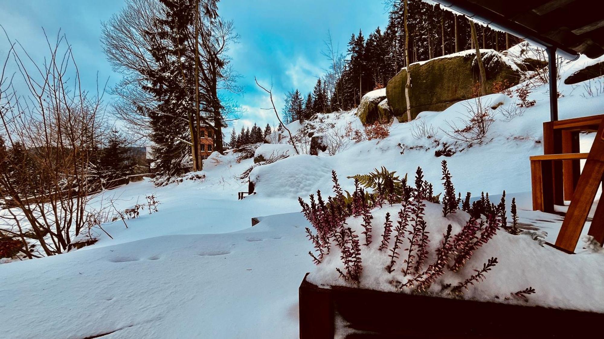Chata Zulova Stran Janov nad Nisou Exteriör bild